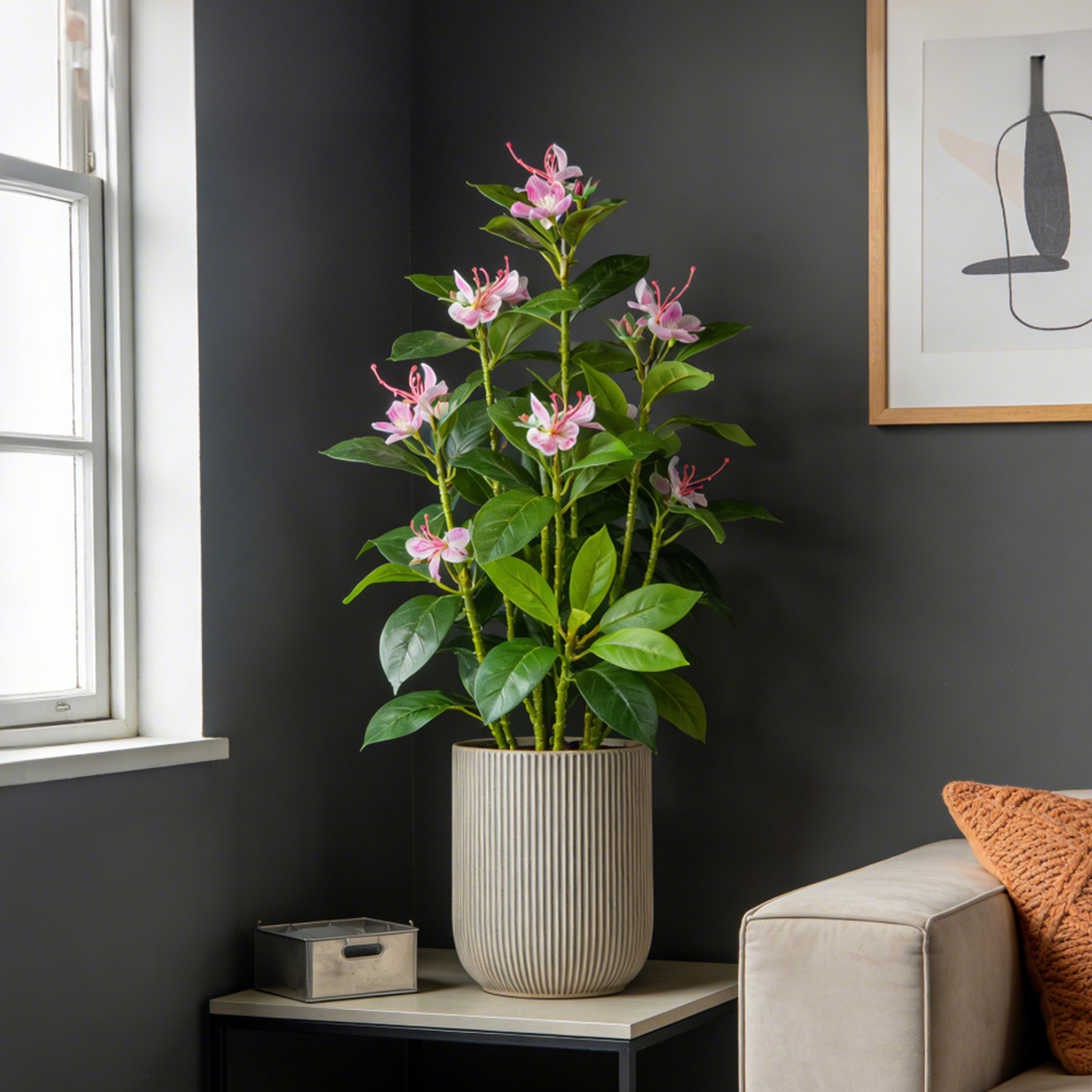 Ficus Lyrata Tree - 21-40cm Artificial Azalea Flowers Fake Ficus