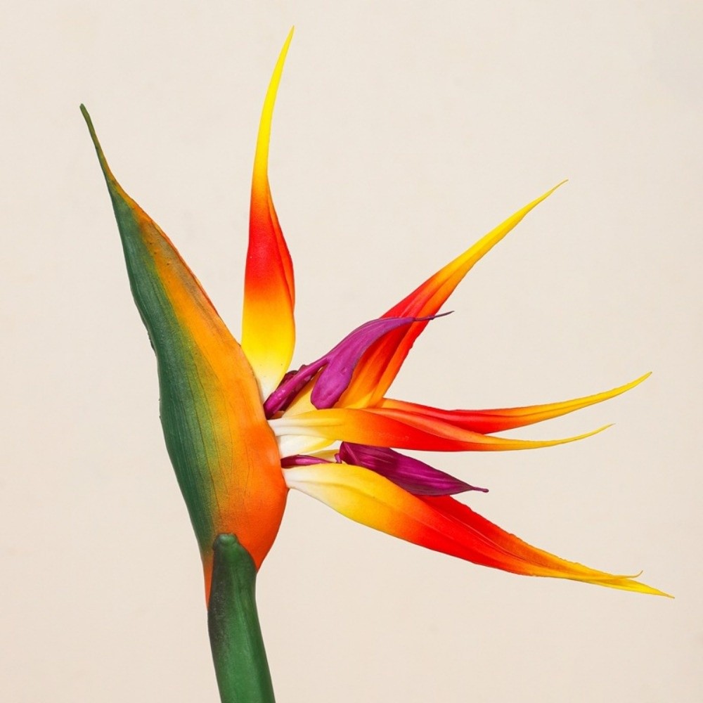 Bird Paradise Strelitzia - Long Stem Artificial Bird of Paradise