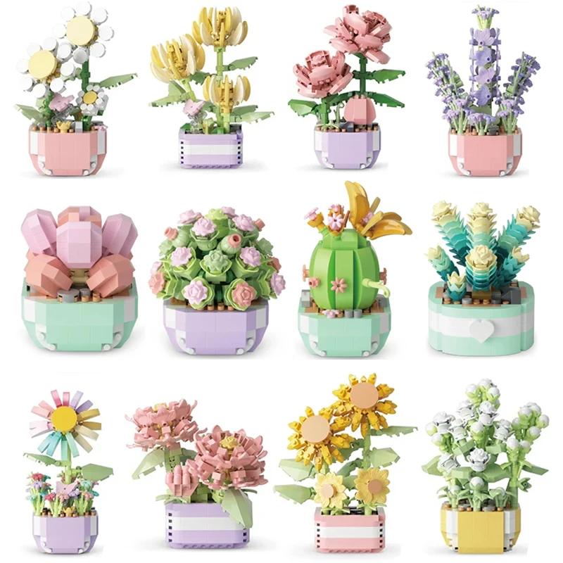 Flower Succulents Building Blo - Echeveria Succulent incelemesi ve fiyatı