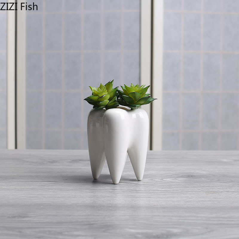 Tooth Shaped Ceramic Flower Po - Echeveria Succulent incelemesi ve fiyatı