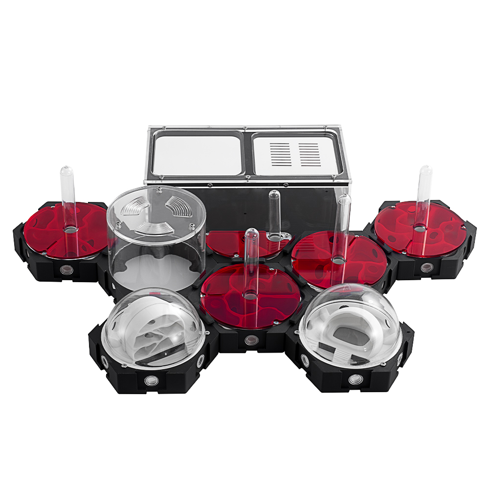 3D Printing Ant Farm Infinitel - Begonia Rex incelemesi ve fiyatı