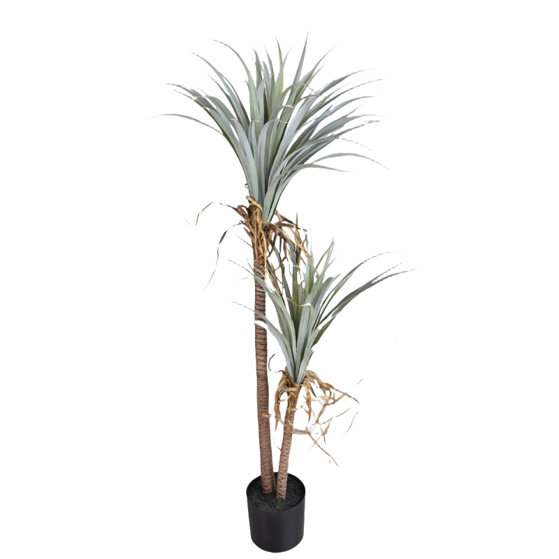Dragon Blood Yucca Artificial  - Dracaena Marginata incelemesi ve fiyatı