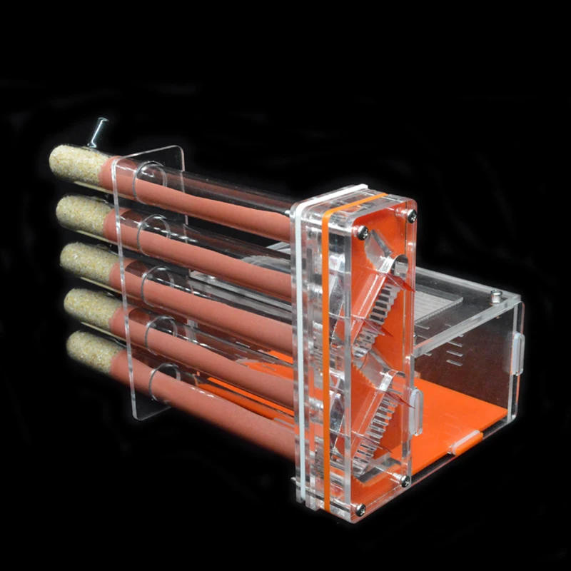DIY Acrylic Ant Farm 5 pcs 18- - Begonia Rex incelemesi ve fiyatı