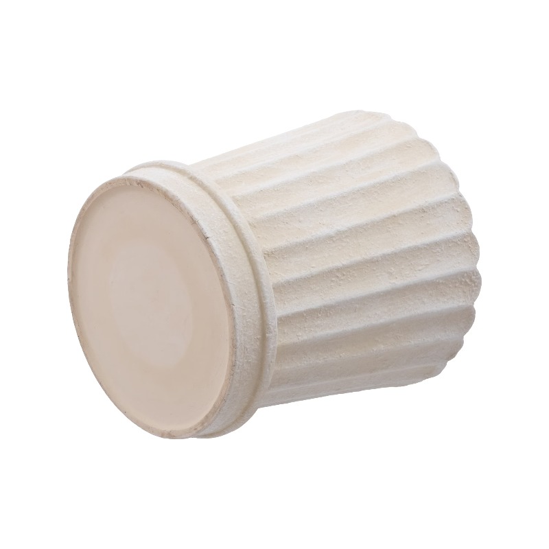 8 Inch Shell Planter Cream Cer - Aloe Vera Pot incelemesi ve fiyatı