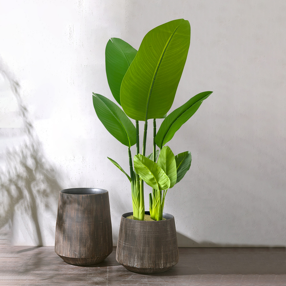 37-77cm Artificial Banana Tree - Dracaena Marginata incelemesi ve fiyatı