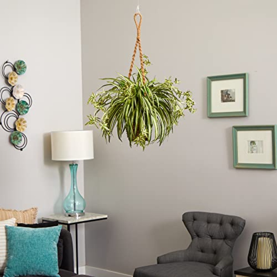 Spider Plant Hanging Basket fo - Spider Plant Hanging incelemesi ve fiyatı