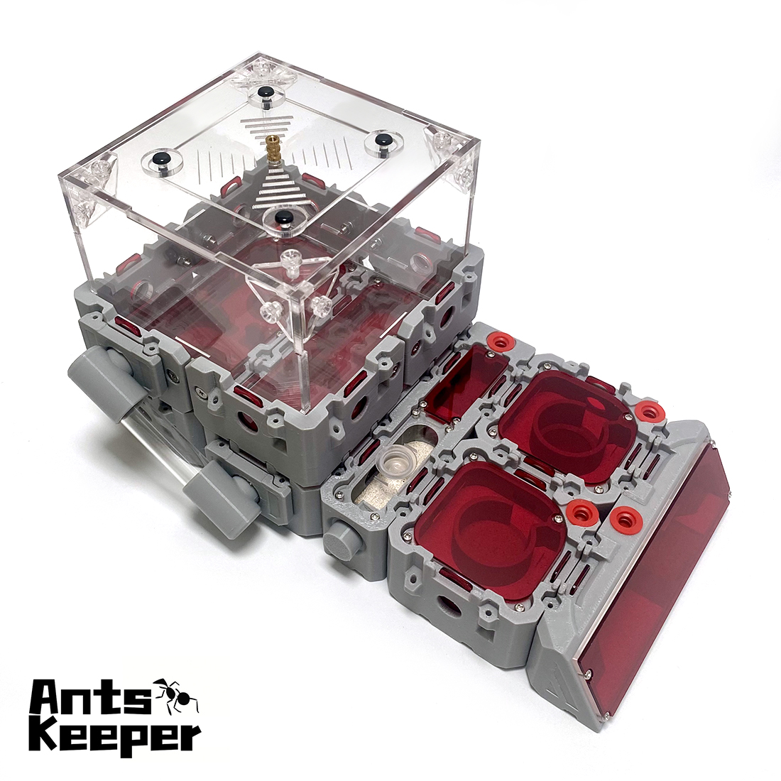 【Lego】Expandable Modular Formi - Begonia Rex incelemesi ve fiyatı