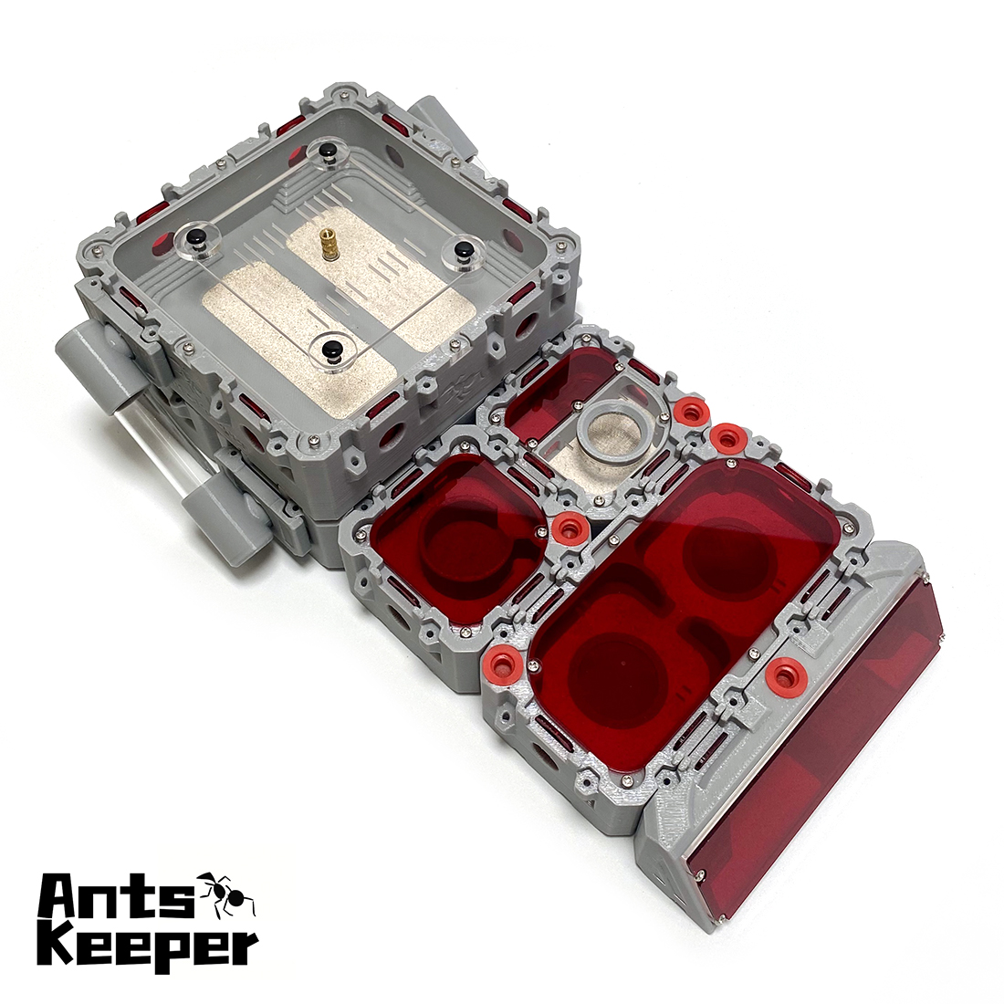【Lego】Expandable Modular Formi - Begonia Rex incelemesi ve fiyatı