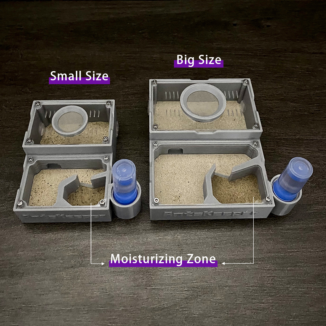 【One Section】Flat Ant Farm for - Begonia Rex incelemesi ve fiyatı