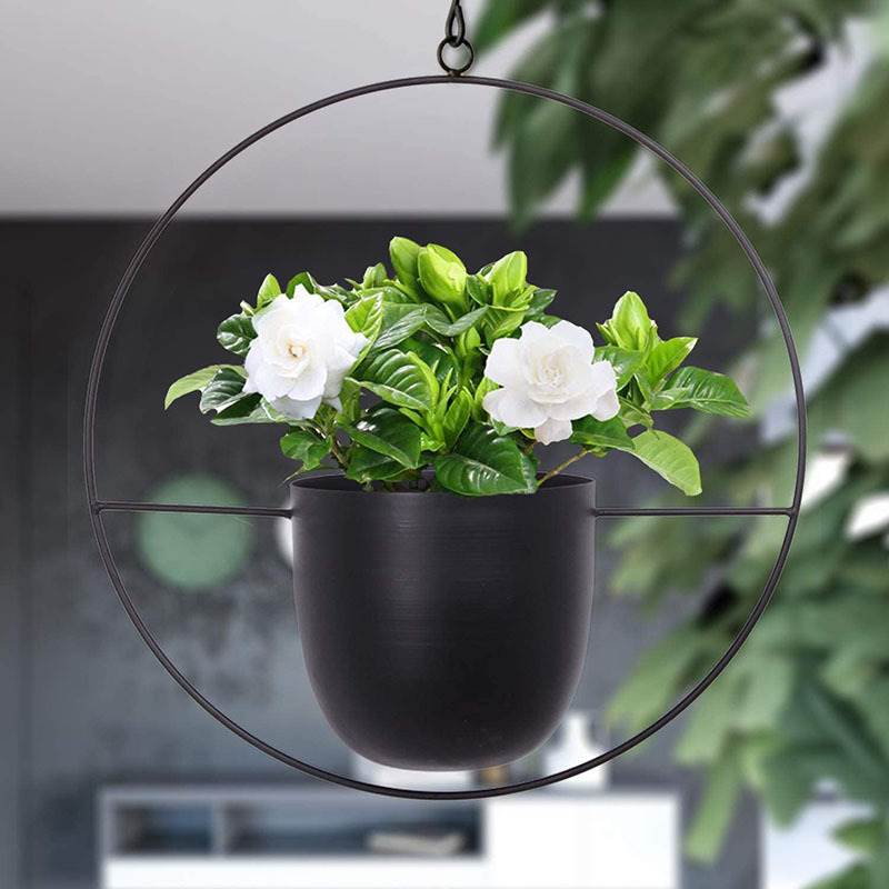 Hanging Iron Art Plant Pots Ba - Spider Plant Hanging incelemesi ve fiyatı