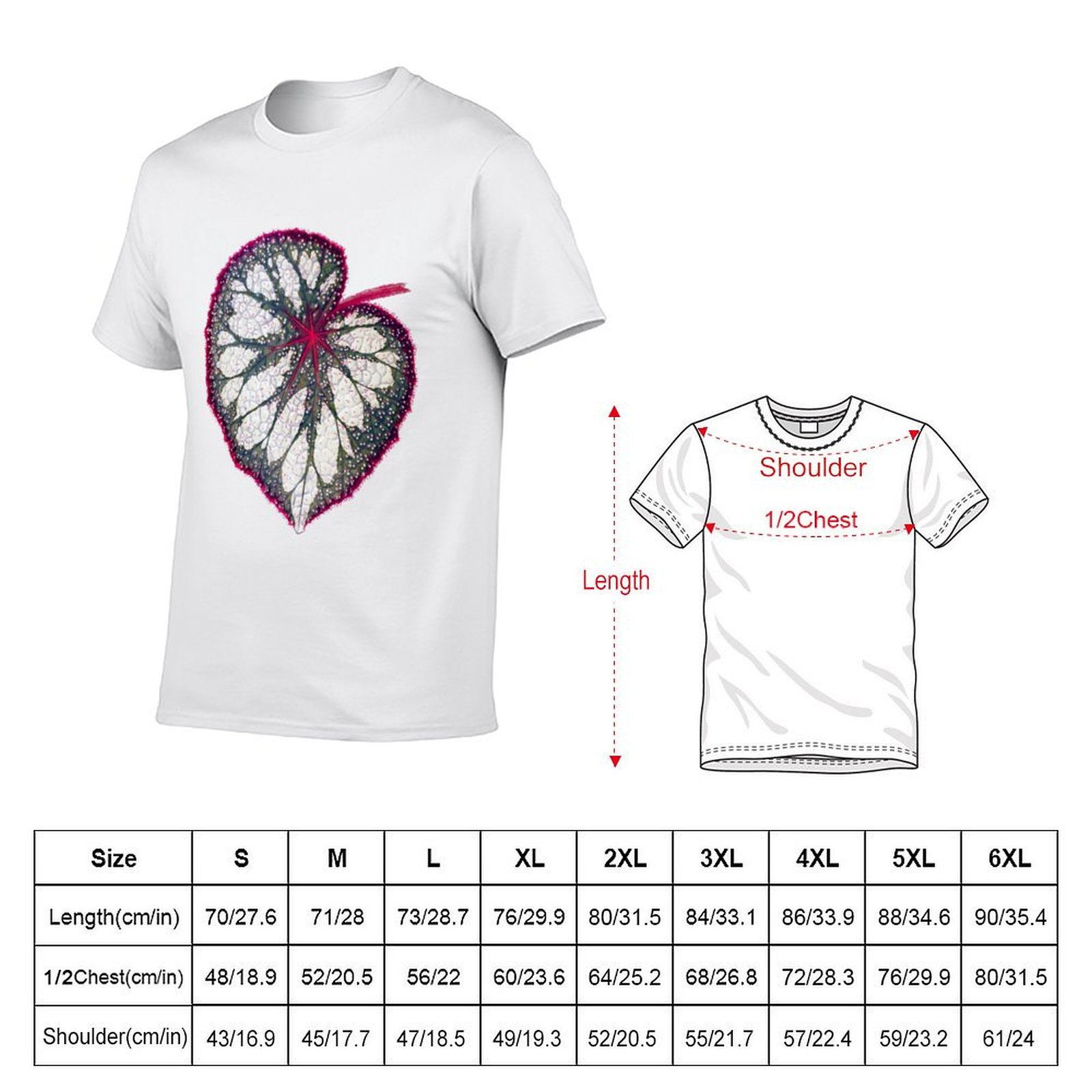 Begonia rex T-Shirt man graphi - Begonia Rex incelemesi ve fiyatı