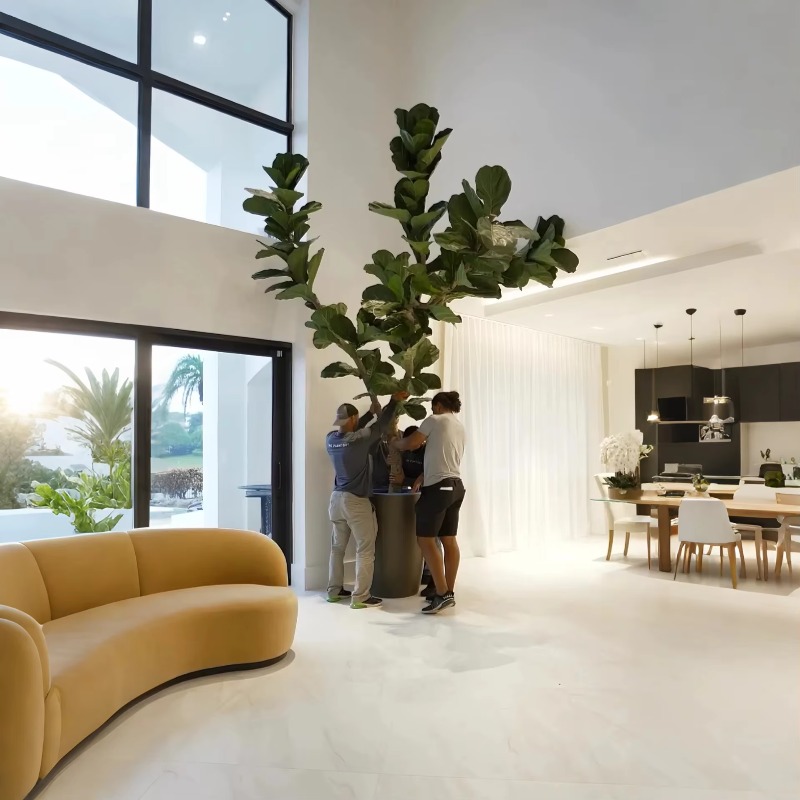 Artificial Plants Indoor Potte - Ficus Lyrata Tree incelemesi ve fiyatı
