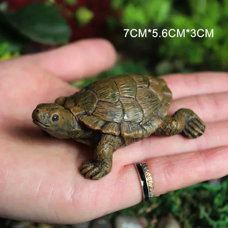 Simulation of Small Turtle Res - Echeveria Succulent incelemesi ve fiyatı
