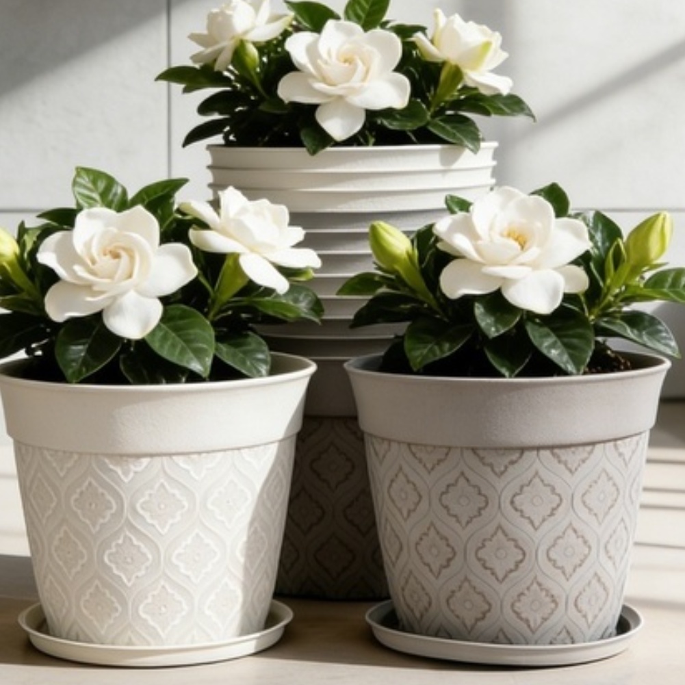 8in Flower Pot With Drainage H - Echeveria Succulent incelemesi ve fiyatı