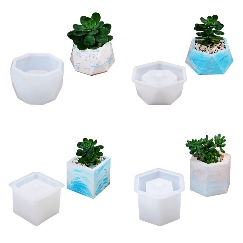 Succulent Flowerpot Silicone M - Echeveria Succulent incelemesi ve fiyatı