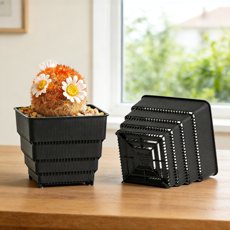MESHPOT 6-Pack Square Pots for - Echeveria Succulent incelemesi ve fiyatı