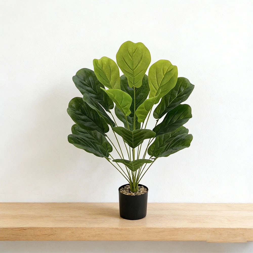 1pc of 75cm Artificial Ficus L - Ficus Lyrata Tree incelemesi ve fiyatı