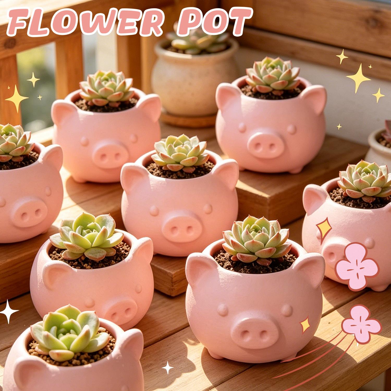 10/1pcs 3D Printed Creative Pi - Echeveria Succulent incelemesi ve fiyatı
