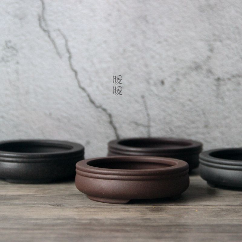 Ceramic Circle Bonsai Pot,Plat - Pilea Peperomioides incelemesi ve fiyatı