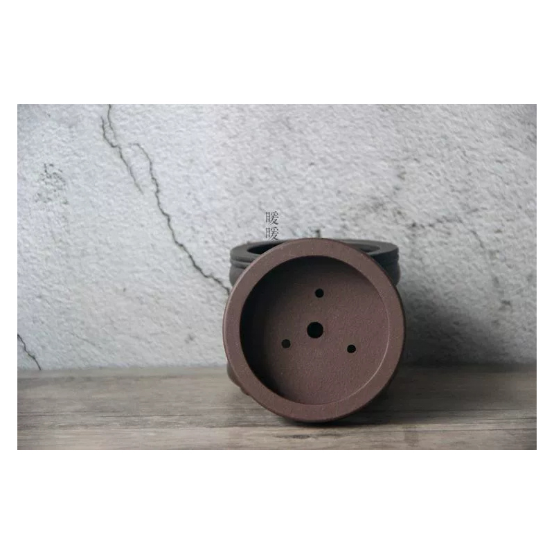 Ceramic Circle Bonsai Pot,Plat - Pilea Peperomioides incelemesi ve fiyatı