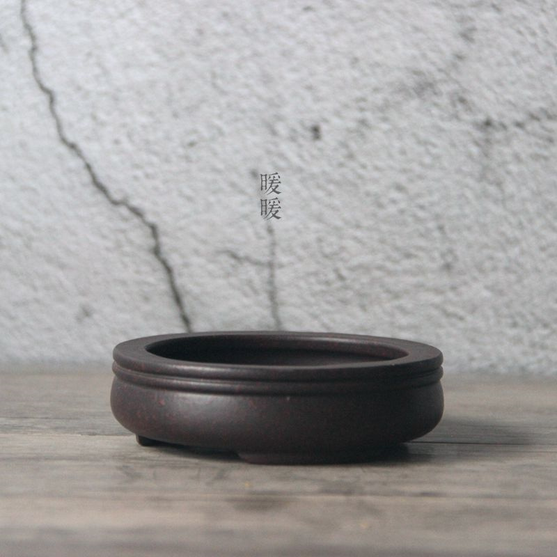 Ceramic Circle Bonsai Pot,Plat - Pilea Peperomioides incelemesi ve fiyatı