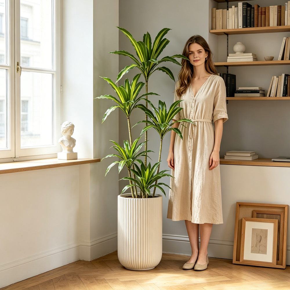 80-165cm Large Artifcial Draca - Dracaena Marginata incelemesi ve fiyatı