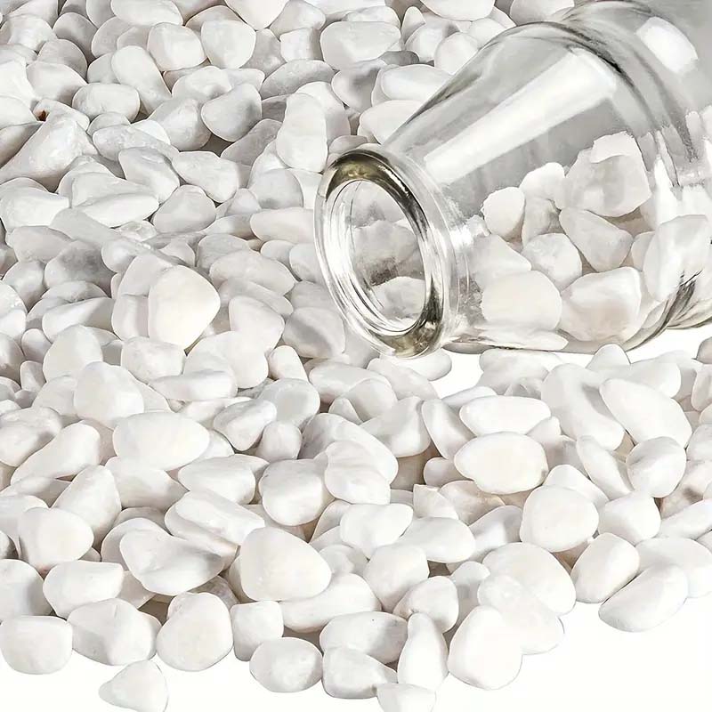 White Pebbles Decorative Stone - Echeveria Succulent incelemesi ve fiyatı