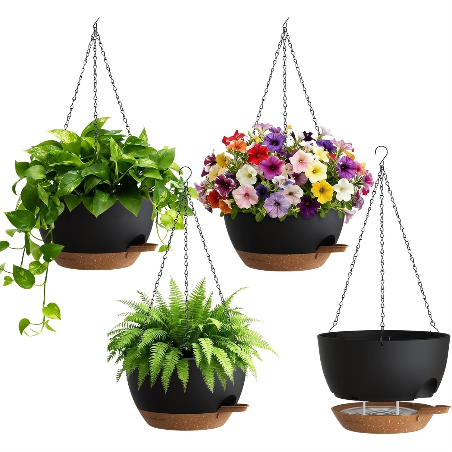 Self Watering Hanging Planters - Spider Plant Hanging incelemesi ve fiyatı