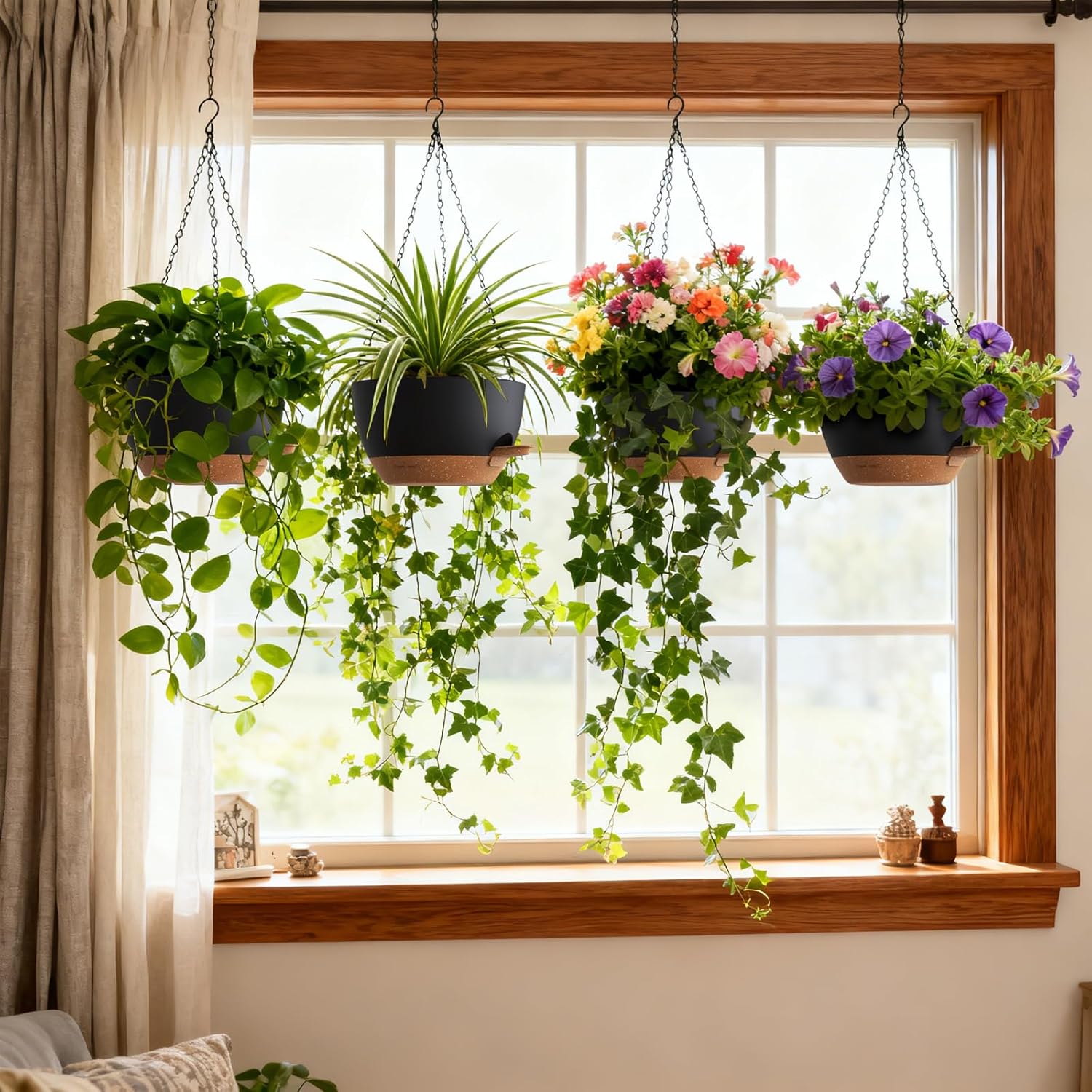 Self Watering Hanging Planters - Spider Plant Hanging incelemesi ve fiyatı