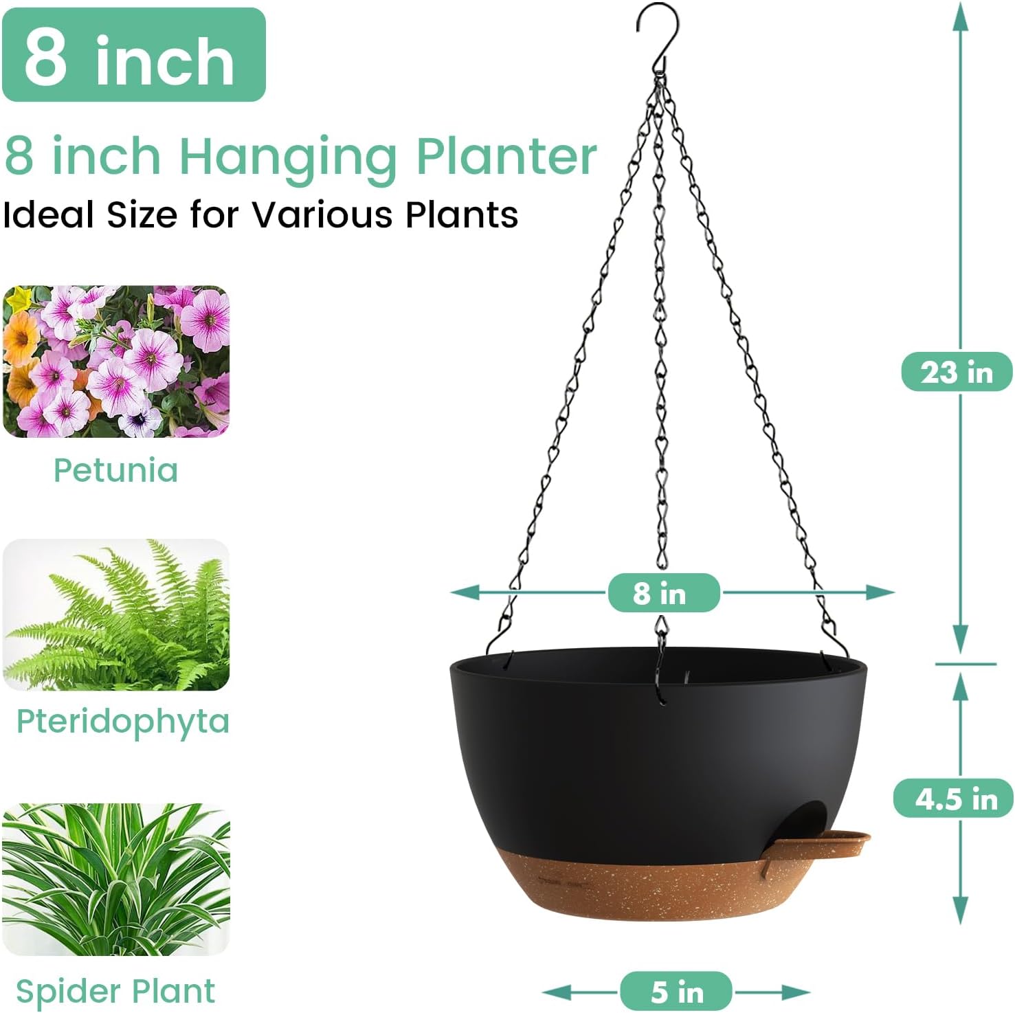 Self Watering Hanging Planters - Spider Plant Hanging incelemesi ve fiyatı