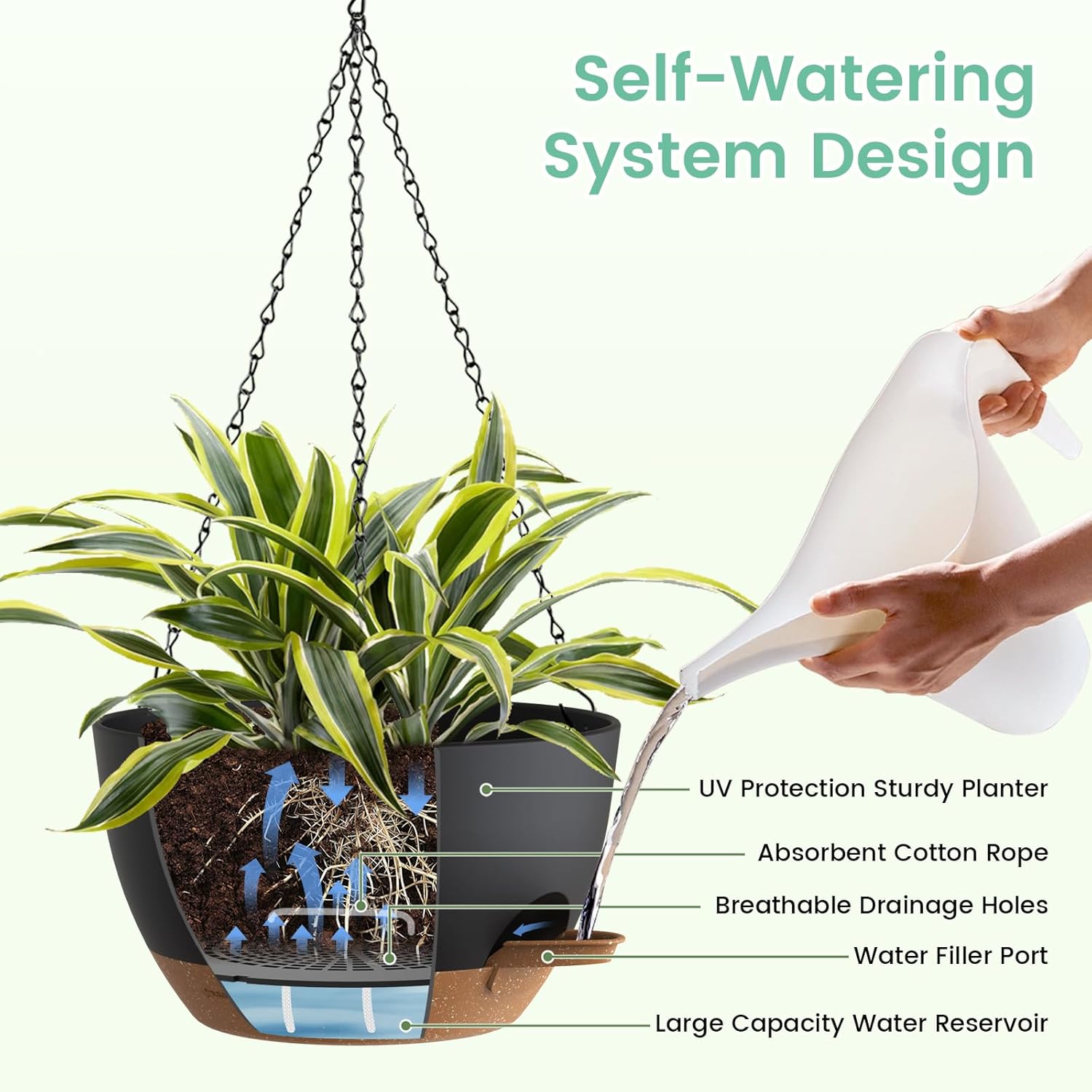 Self Watering Hanging Planters - Spider Plant Hanging incelemesi ve fiyatı