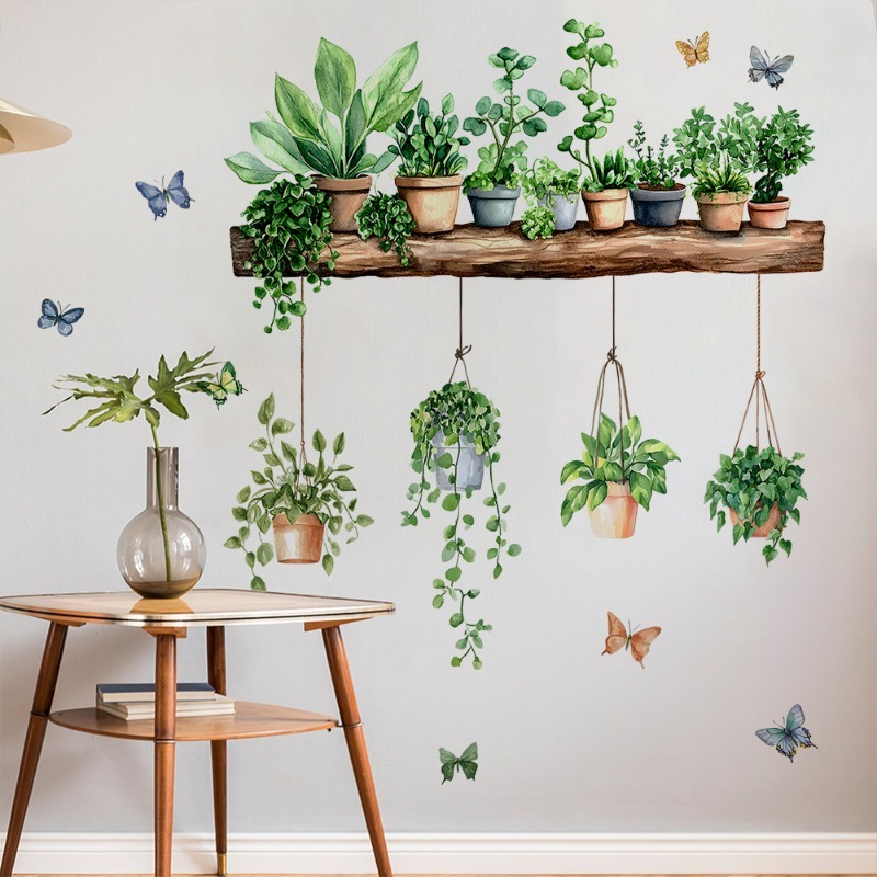 3D Potted Green Plant Shelf Wa - Echeveria Succulent incelemesi ve fiyatı