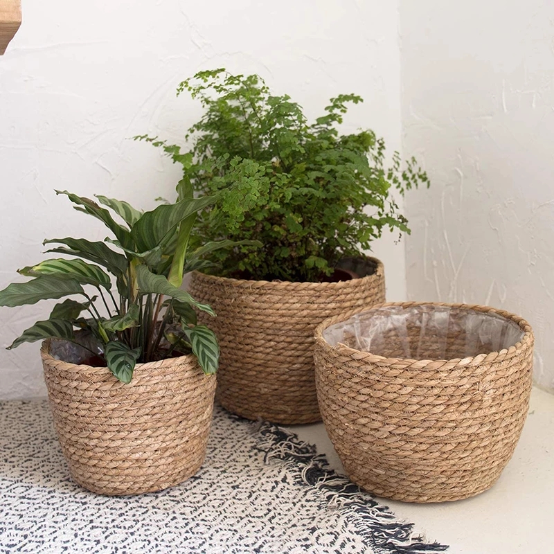Straw Weaving Flower Plant Pot - Aloe Vera Pot incelemesi ve fiyatı