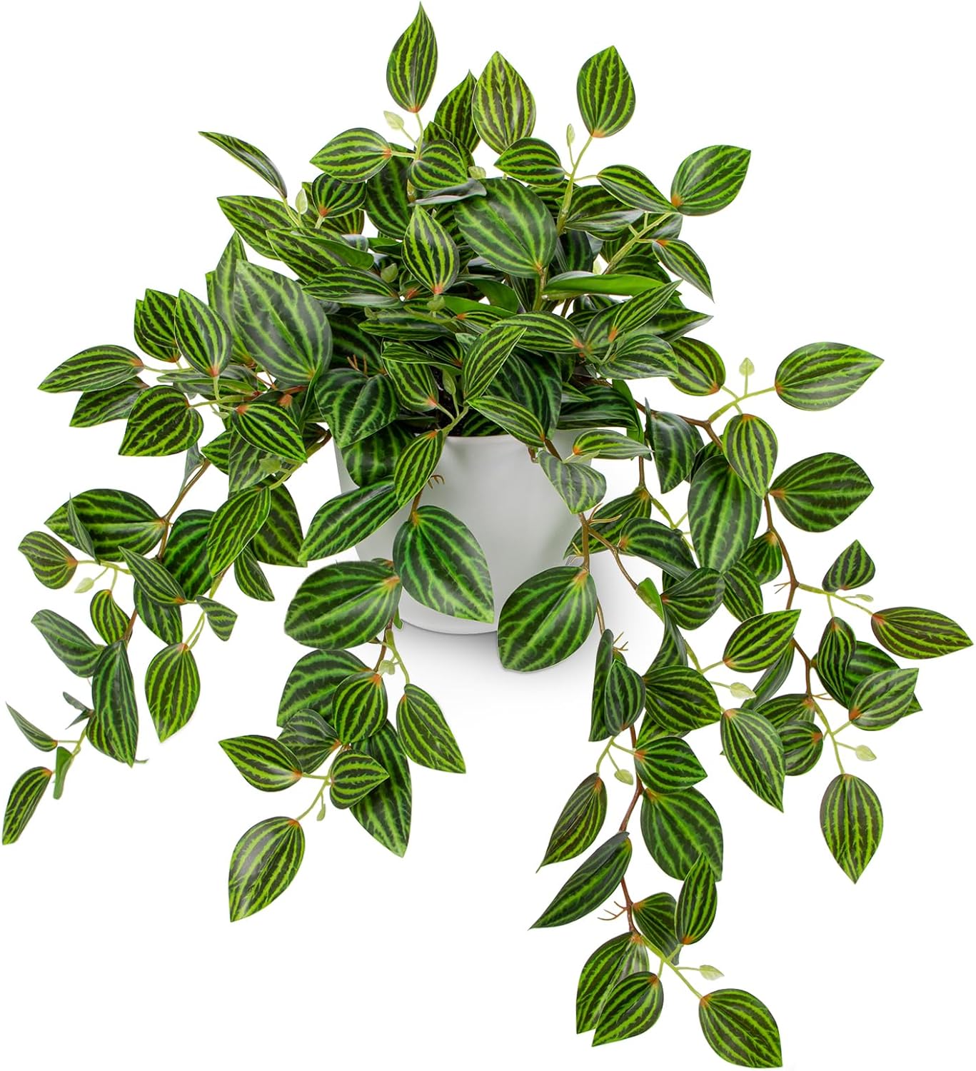 Artificial Plants Indoor Fake  - Peperomia Watermelon incelemesi ve fiyatı