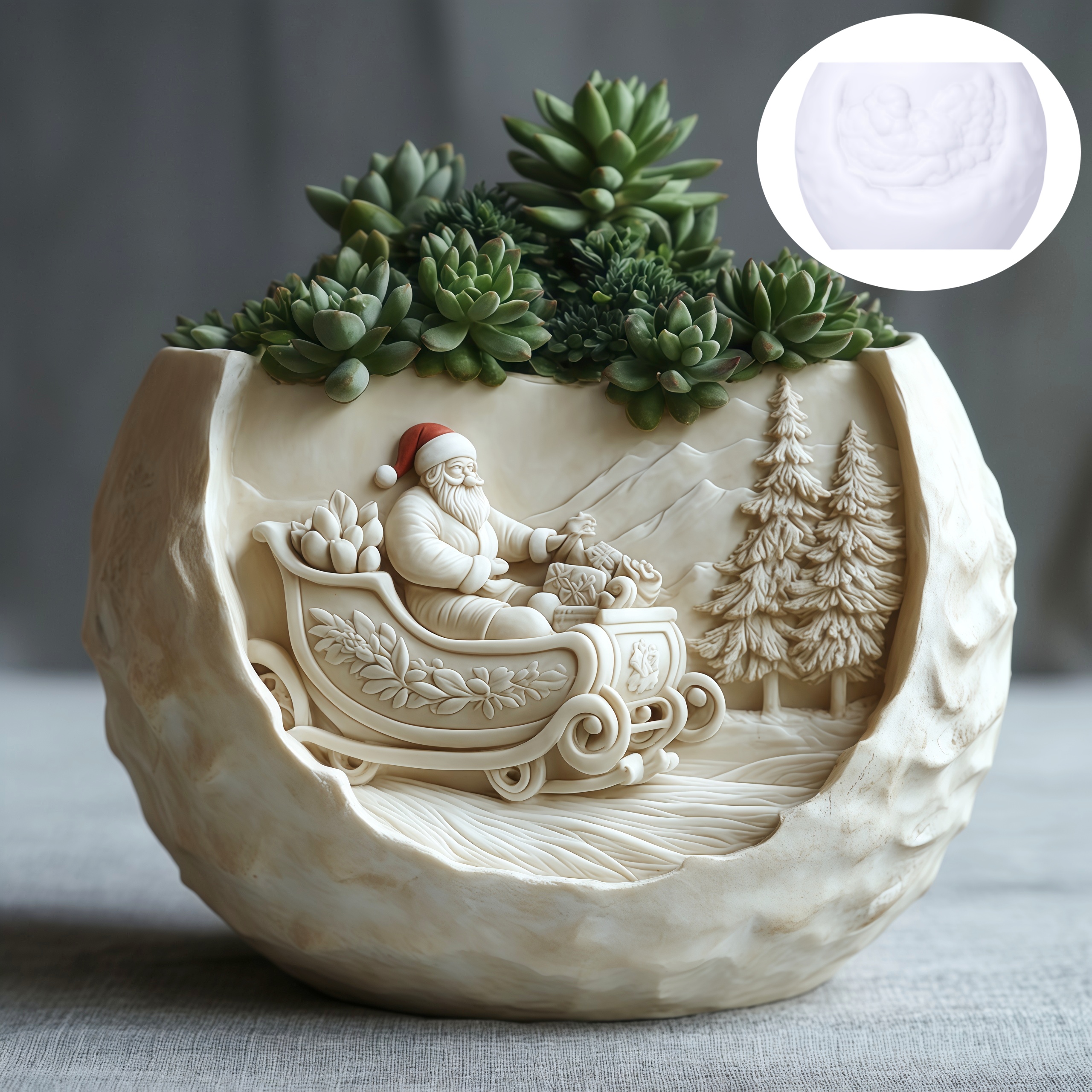Cedar Sled Santa Claus Relief  - Echeveria Succulent incelemesi ve fiyatı
