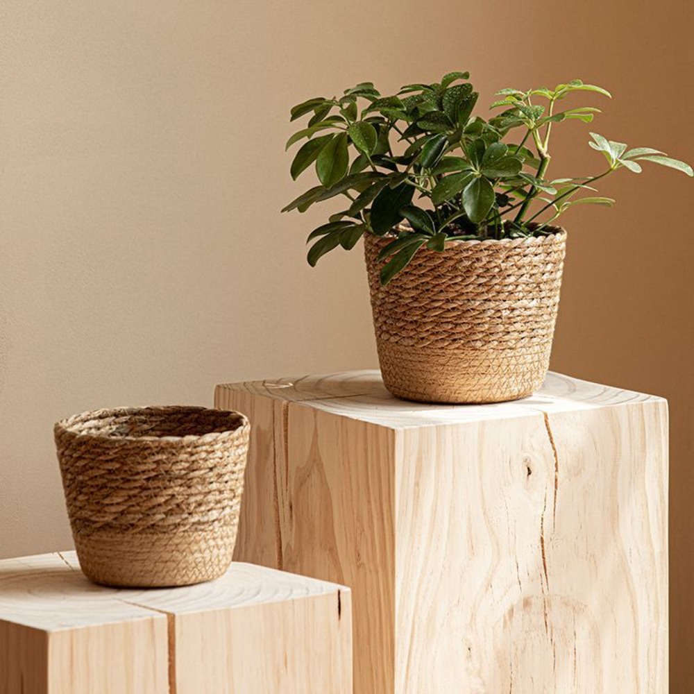 Straw Weaving Flower Plant Pot - Aloe Vera Pot incelemesi ve fiyatı
