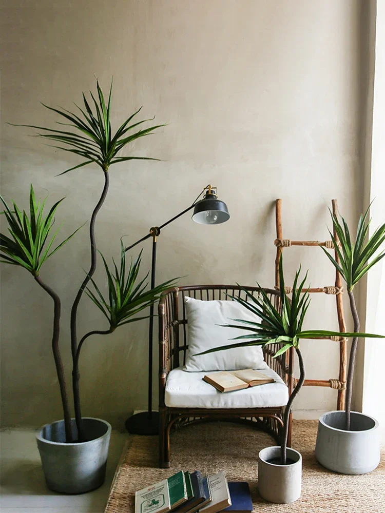 Simulation Plant Dracaena Marg - Dracaena Marginata incelemesi ve fiyatı