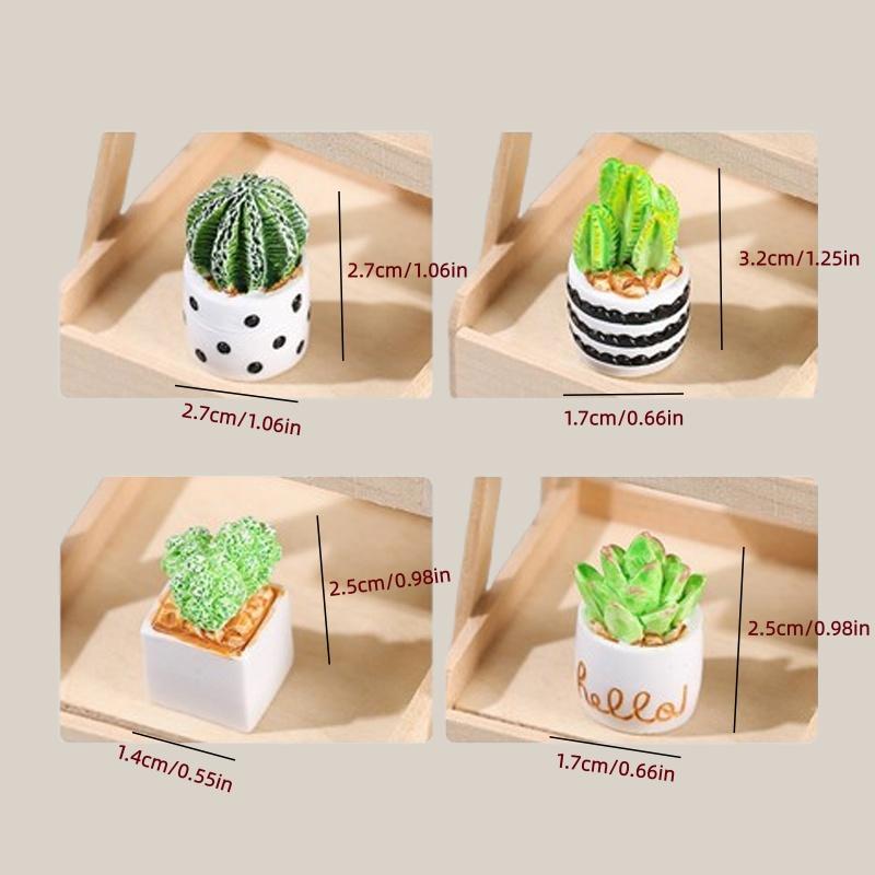 4-Piece Set of Cactus Succulen - Echeveria Succulent incelemesi ve fiyatı