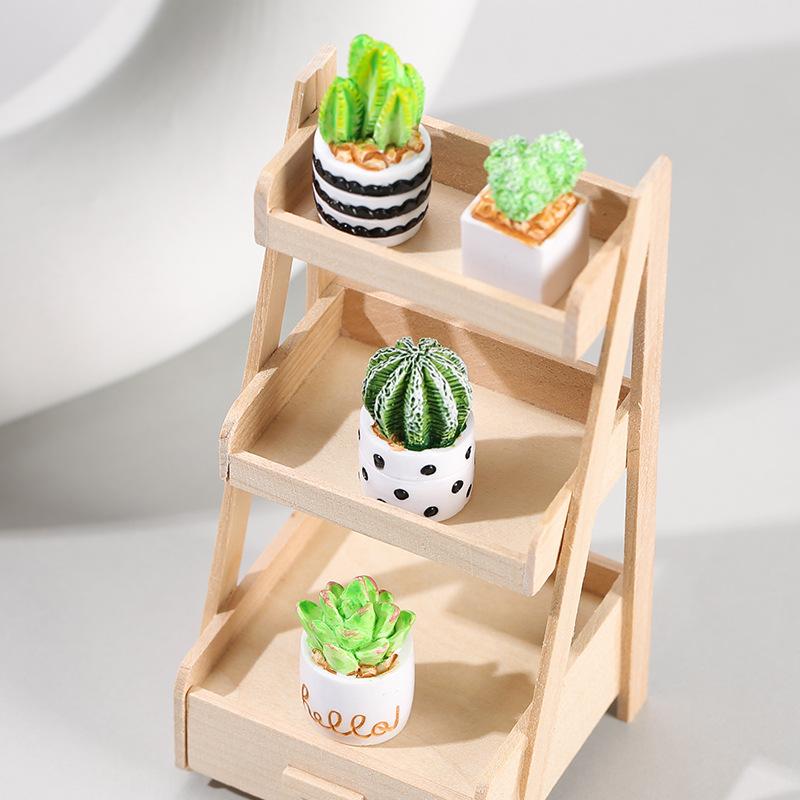 4-Piece Set of Cactus Succulen - Echeveria Succulent incelemesi ve fiyatı