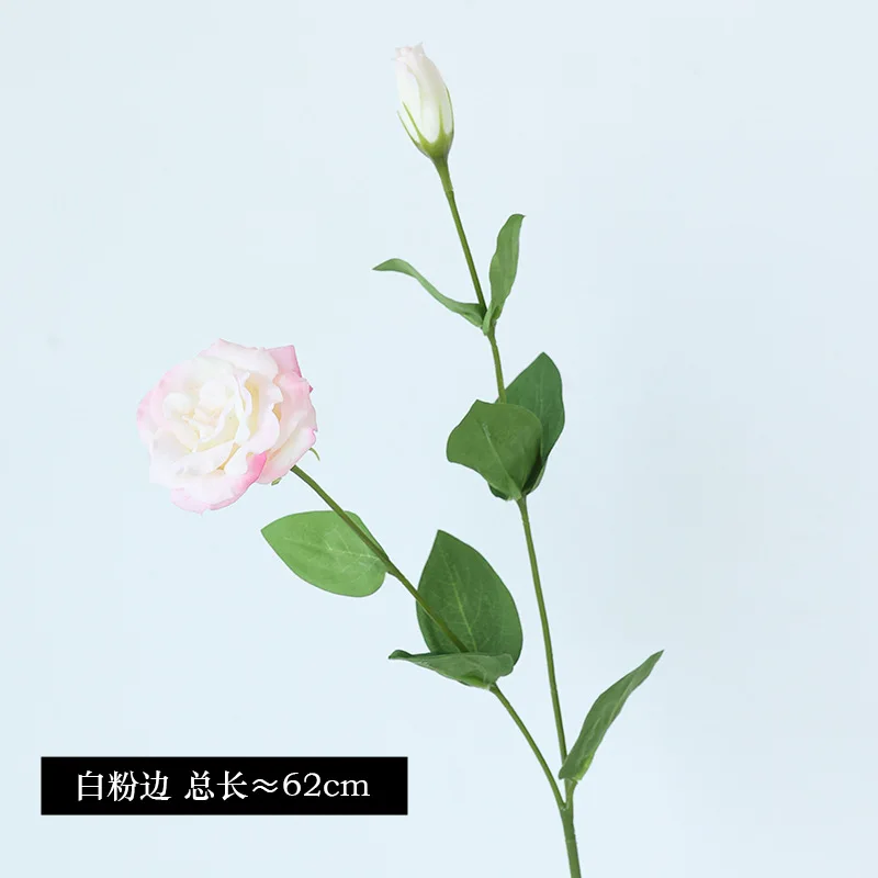 10Pcs/lot Moisturizing 2Head E - Ficus Lyrata Tree incelemesi ve fiyatı