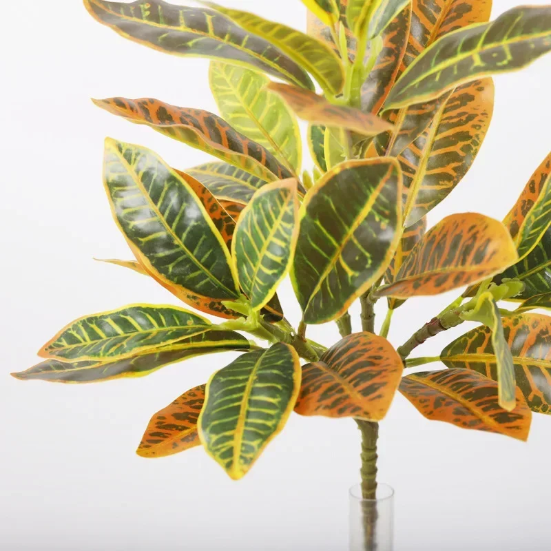 Plastic Artificial Color-chang - Dracaena Marginata incelemesi ve fiyatı